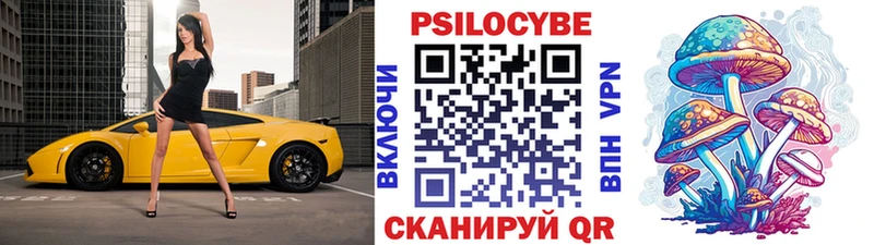 Галлюциногенные грибы Psilocybine cubensis  продажа наркотиков  Устюжна 